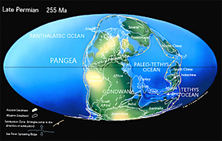 Illustration for article titled Why did nearly all life on Earth die 250 million years ago?
